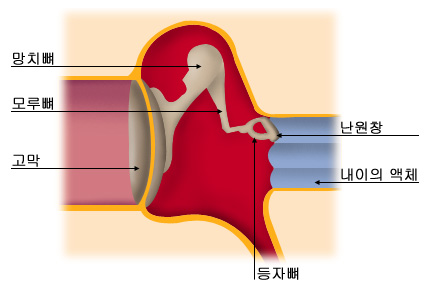 의약품 이미지